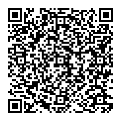 QR Code 1
